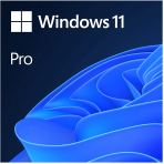 Microsoft Windows 11 Pro