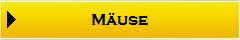 Muse