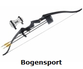 Bogensport